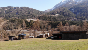 Blick vom 1. Stock Richtung zukünftiger Garten